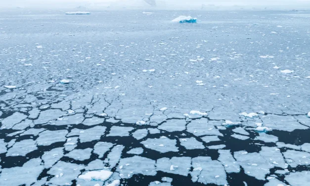 Scientists sound the alarm: Antarctica’s sea ice hits record lows again