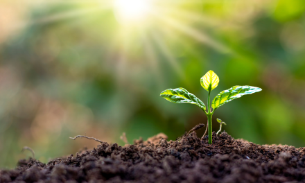 Ramadan reflections: An overlooked aspect of growth