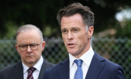 How Australian politicians and media were duped by criminal elements in a manufactured anti-Semitism crisis