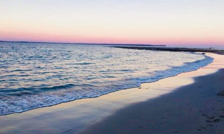 The importance of cultivating a purpose in Life