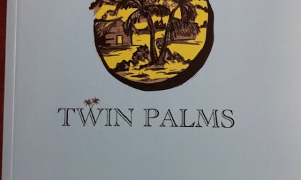 Book Review: Beyond the Shadows of the Twin Palms