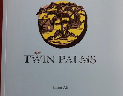 Book Review: Beyond the Shadows of the Twin Palms