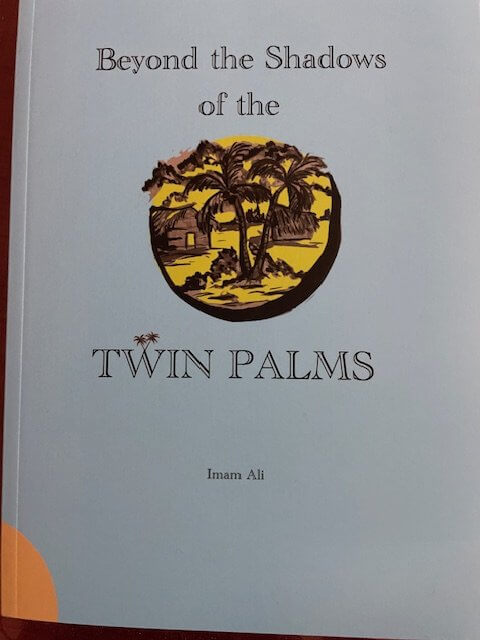 Book Review: Beyond the Shadows of the Twin Palms