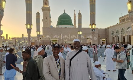 Remarkable journey: A pointed nose leads to tribal reunification in Madinah