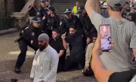Protests, prayers, and power: National outcry after police brutality during Herzog visit