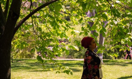 Halal super, shariah compliance, and retirement: The questions many Muslims are asking