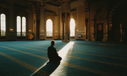 Why do humans need rituals?